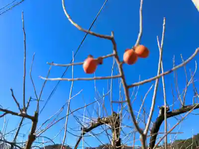 倶梨迦羅神社(長野県)
