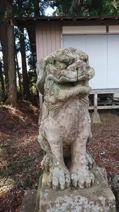 今熊野神社の狛犬