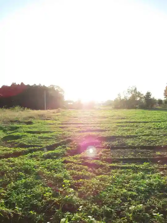 伏木香取神社(茨城県)