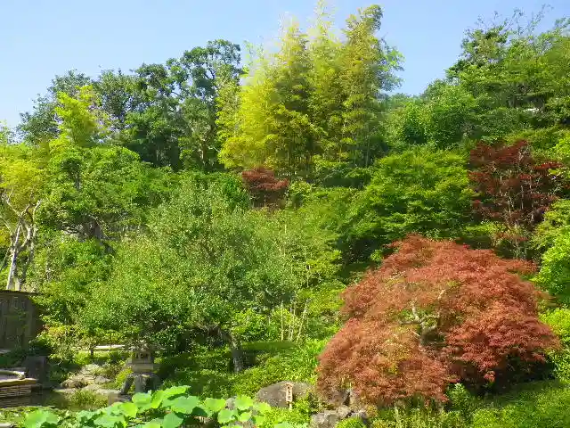 長谷寺の自然