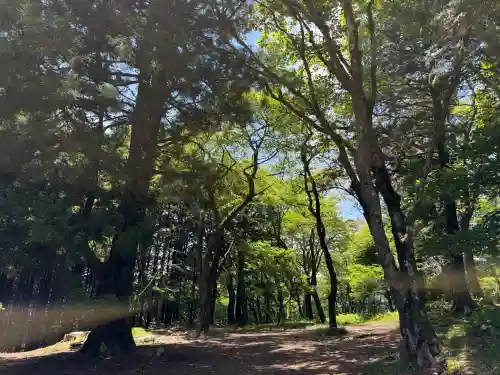 武甲山御嶽神社(埼玉県)