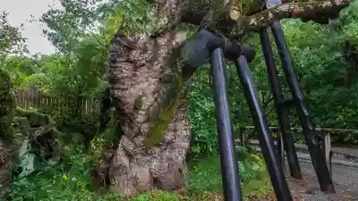 伊勢神宮外宮（豊受大神宮）(三重県)