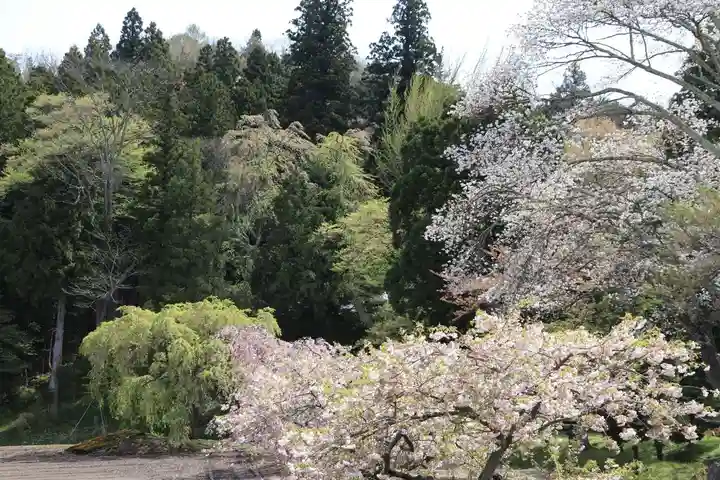 白幡八幡神社の景色