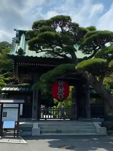長谷寺の山門・神門
