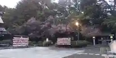 櫻木神社の建物その他