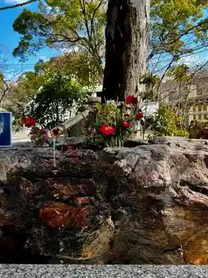阿智神社(岡山県)