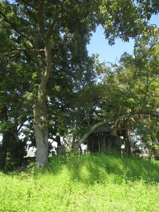 神明神社(千葉県)