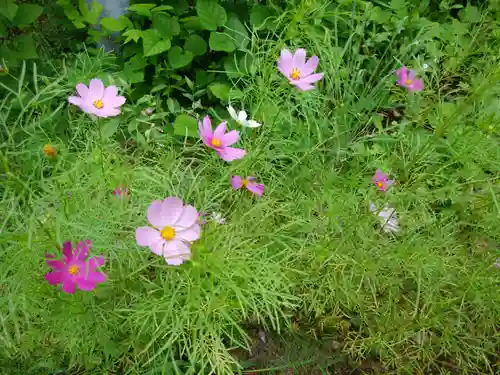 士別神社の自然