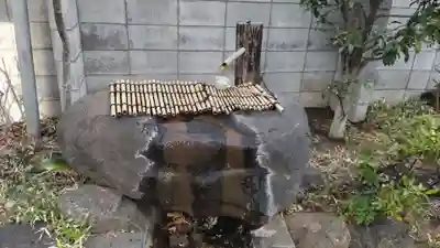 袖ケ崎神社の手水舎
