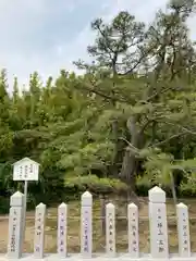 尾上神社の自然