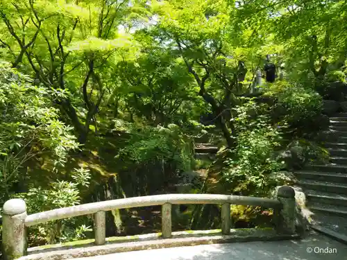 東福禅寺（東福寺）(京都府)