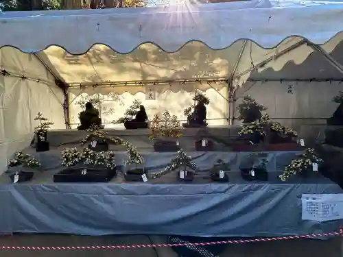 穂高神社本宮(長野県)