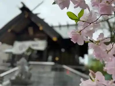 信濃神社(北海道)