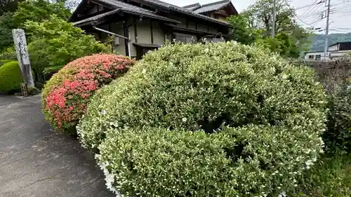 長泉院(埼玉県)