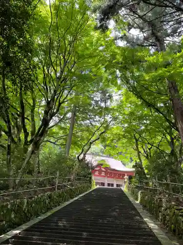 鰐淵寺(島根県)