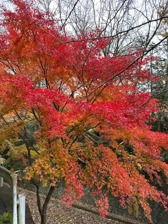 須山浅間神社(静岡県)