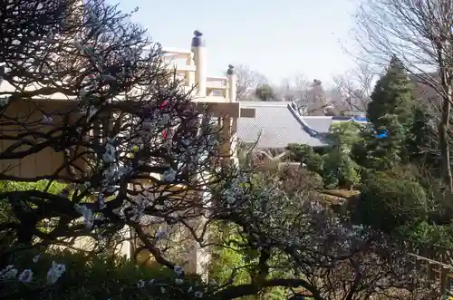 東長谷寺　薬王院の自然