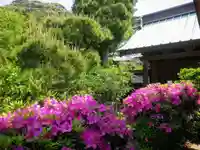 妙法寺のその他建物