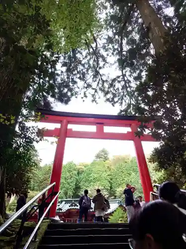 箱根神社(神奈川県)