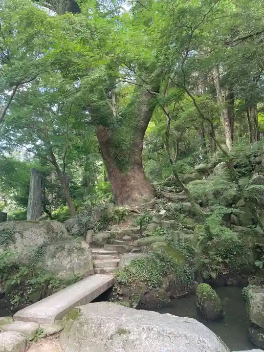 太宰府天満宮(福岡県)