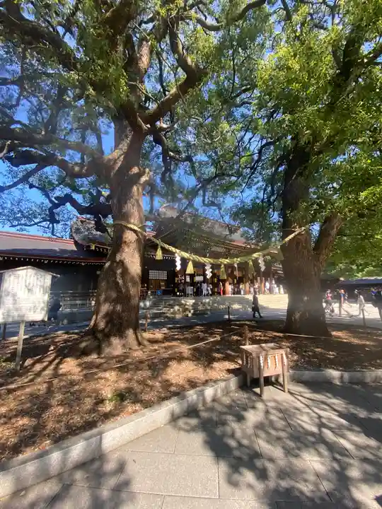 明治神宮(東京都)