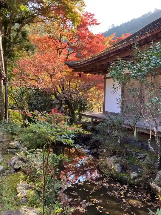 高山寺の本殿・本堂