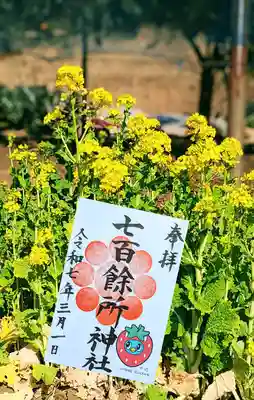 季節の御朱印『いちごやっち』