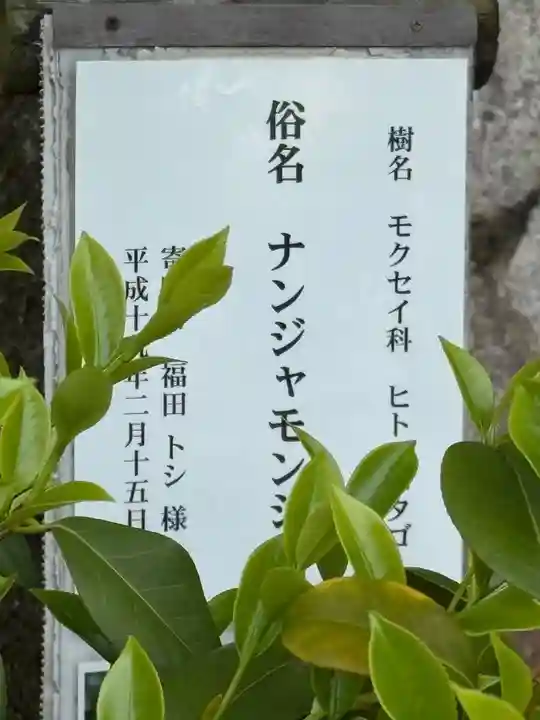 石清水八幡宮(京都府)