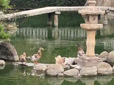 住吉神社(山口県)