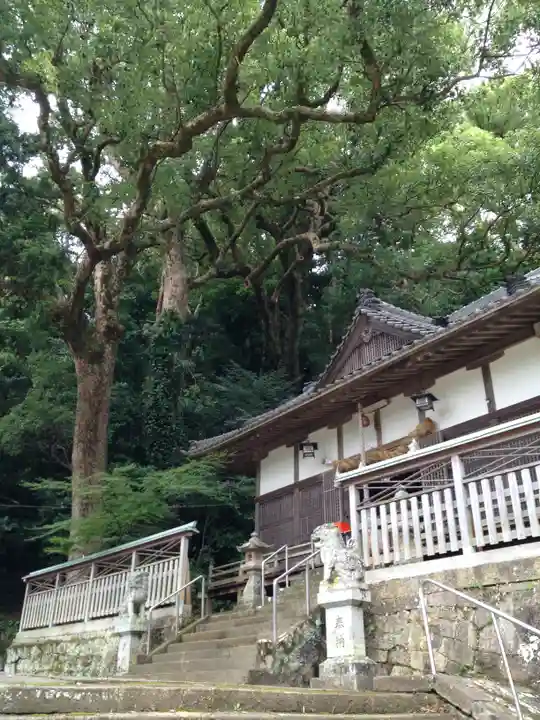 熊野三所神社の本殿・本堂