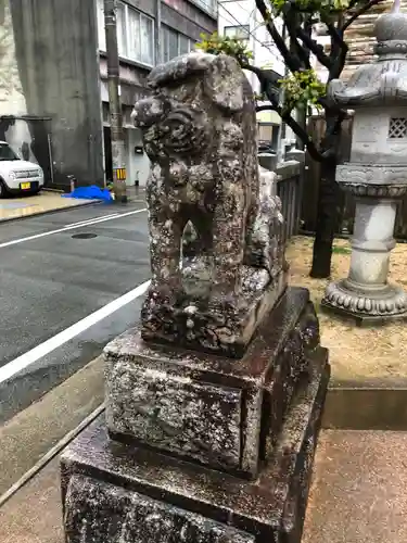 事代主神社の狛犬