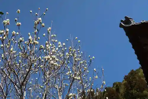 法華寺(静岡県)