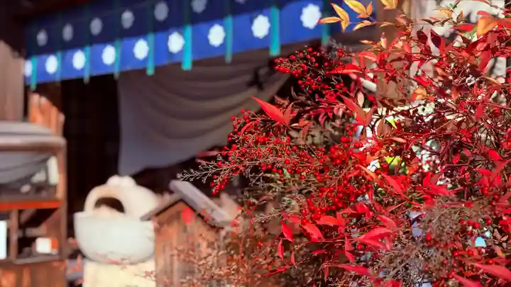 間々観音(龍音寺)(愛知県)