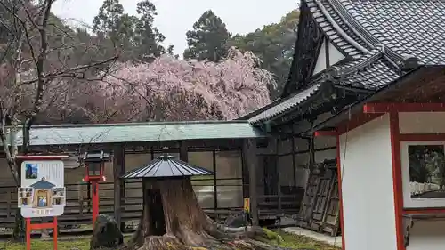 大原野神社(京都府)