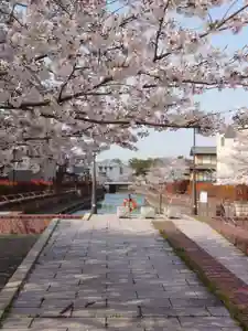 海蔵寺の周辺(2021年04月02日(金) 08時51分38秒投稿)