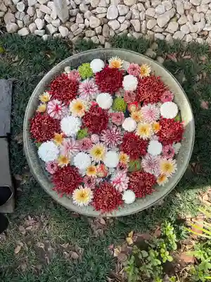 行田八幡神社の手水舎