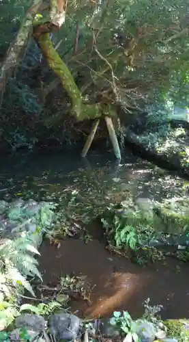 大生神社の自然