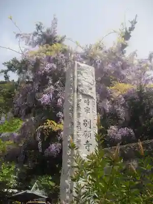 別願寺のその他建物