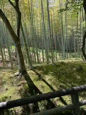 天龍寺(京都府)