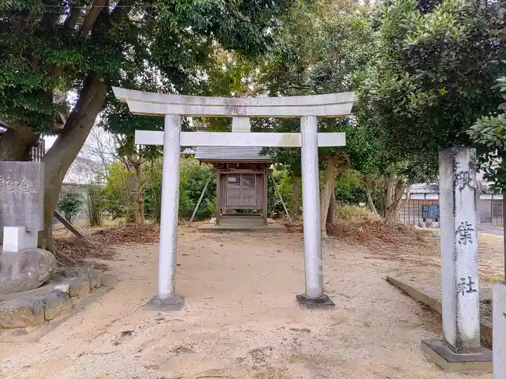 素盞嗚神社の鳥居