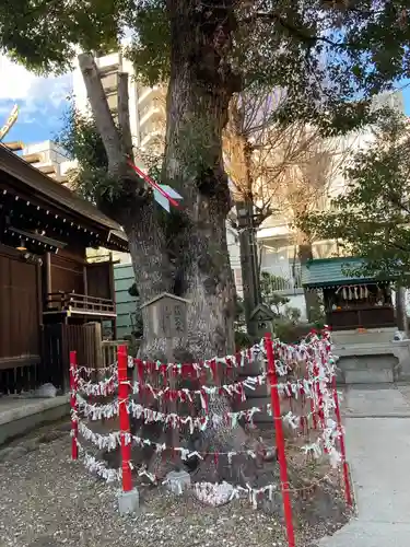 三輪神社(愛知県)