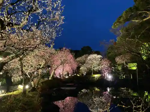 長谷寺の{uncategorized: "未分類", other: "その他", undefined: "問題あり", building: "その他建物", grave: "お墓", sacred_gate: "鳥居", guardian: "狛犬", statue: "像", buddha: "仏像", history: "歴史", nature: "自然", garden: "庭園", animal: "動物", pagoda: "塔", temizu: "手水舎", mountain_gate: "山門・神門", sanctuary: "本殿・本堂", subordinate: "末社・摂社", art: "芸術", scenery: "景色", jizo: "地蔵", ema: "絵馬", goshuin: "御朱印", omikuji: "おみくじ", items: "授与品その他", amulet: "お守り", goshuincho: "御朱印帳", eats: "食事", festival: "お祭り", votive_dance: "神楽", shichigosan: "七五三参", wedding: "結婚式", experience: "体験その他", initially: "初詣", around: "周辺", anti_infection: "感染症対策"}