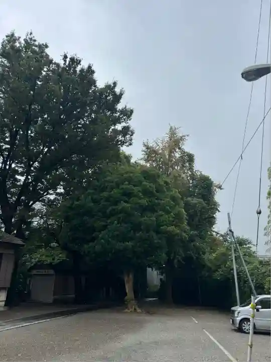 日吉神社(神奈川県)