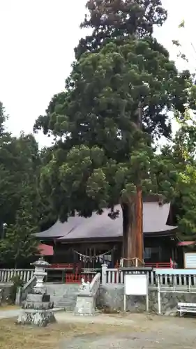 鼬幣稲荷神社の建物その他