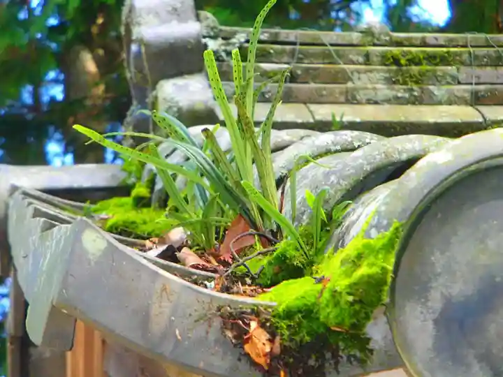 佐々良木武並神社の自然