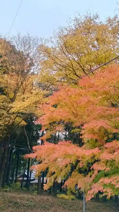 雨引千勝神社(茨城県)