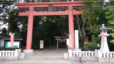 世田谷八幡宮の鳥居