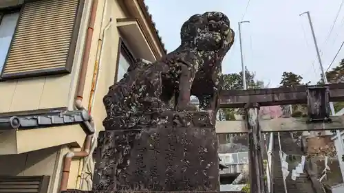 琴平神社の狛犬