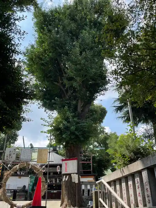 幡ケ谷氷川神社(東京都)