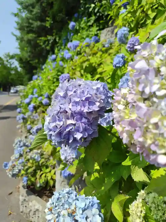 厚別神社(北海道)